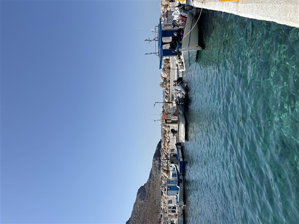 IMG 9941