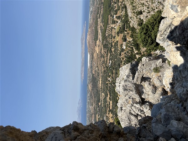 IMG 0153