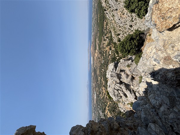 IMG 0196