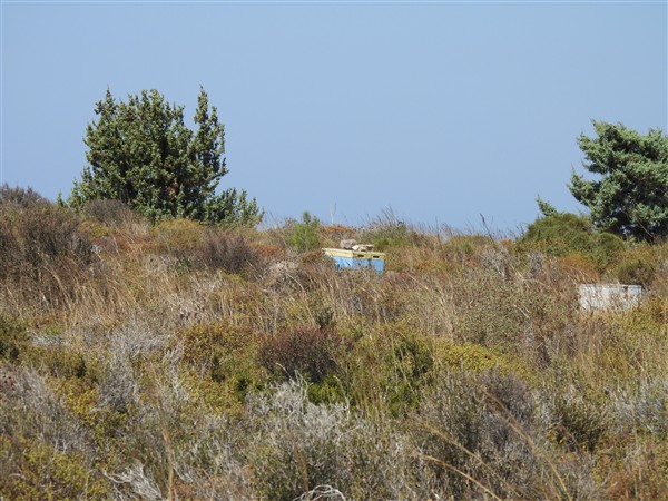 DSCN0204