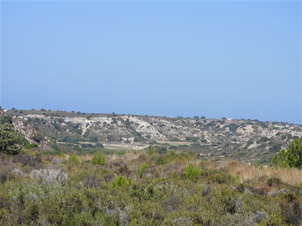 DSCN0209
