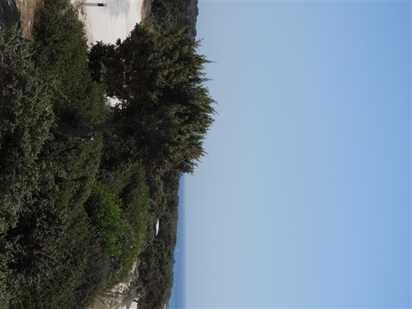 DSCN0225