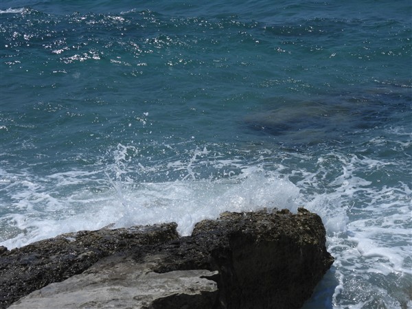 DSCN0233