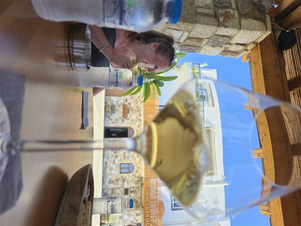 Vakantie foto's