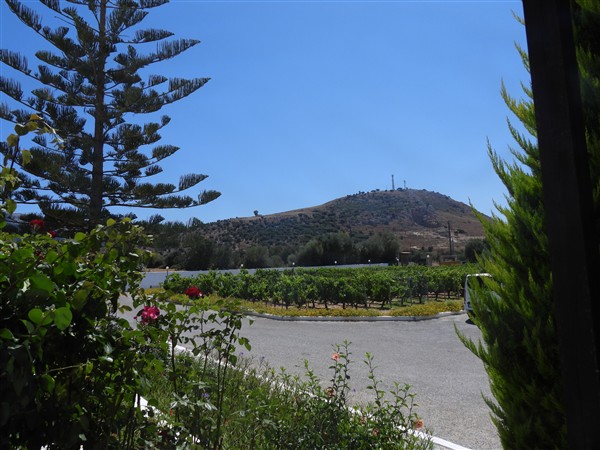 DSCN0087