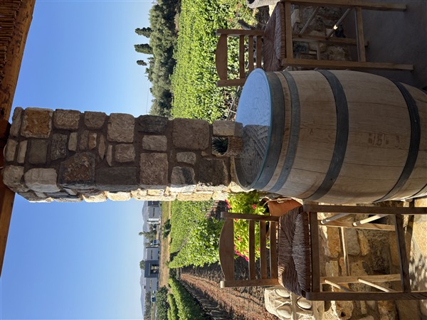 IMG 0070