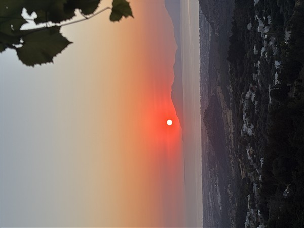 IMG 0245