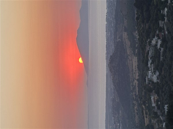 IMG 0247
